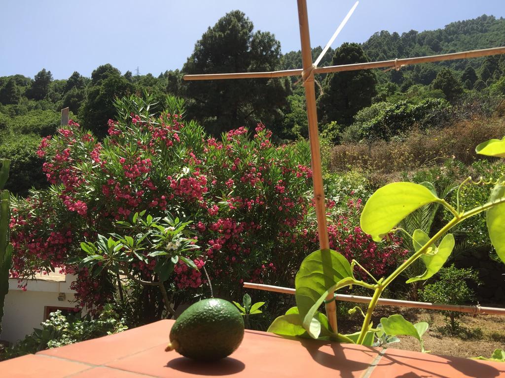 Finca Madrugada Santa Cruz de la Palma  Ngoại thất bức ảnh